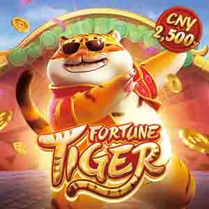 fortune tiger